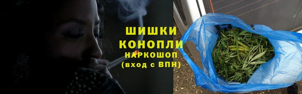 трава Аркадак